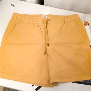L.L. Bean Tan Shorts Versatile Casual Wear Size L